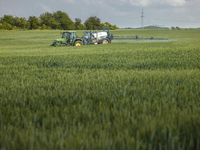 Der Eintrag der Chemikalien in die Gewässer erfolgt zu einem erheblichen Teil durch die Landwirtscha
Quelle: Foto: André Künzelmann, UFZ (idw)