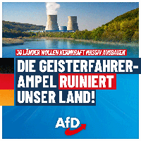 Bild: AfD Deutschland