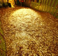 Geld und Gold im Tresor (Symbolbild)