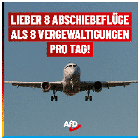 Bild: AfD Deutschland