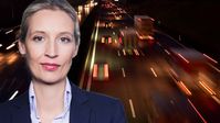 Dr. Alice Weidel (2018)