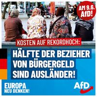 Bild: AfD Deutschland