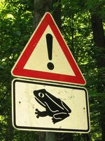 Verkehrszeichen mit Hinweis auf Amphibienwanderung