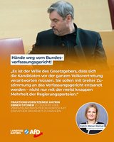 Bild: AfD Deutschland