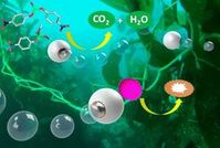 Mikroraketen: Fortbewegung ohne Motor. Bild: American Chemical Society