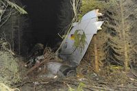 beschädigtes Kampfflugzeug vom Typ Tornado in einem Waldstück