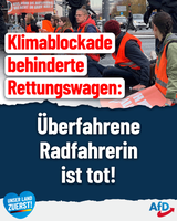 Bild: AfD Deutschland