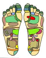 Reflexzonen an den Fußsohlen Bild: Jimmy / de.wikipedia.org