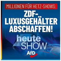 Bild: AfD Deutschland