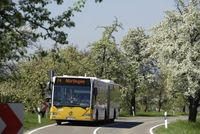 Mercedes-Benz Stadtbus Citaro G der Stuttgarter Straßenbahn AG im Einsatz mit NExBTL