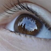 Auge: Forscher gehen der Sinneswahrnehmung nach. Bild: pixelio.de, Olaf Barth