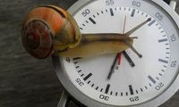 Schnecke auf der Uhr: Lange Ladezeit frustriert. Bild: pixelio.de/D. Schneider