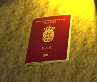 Dänischer Ausweis (Symbolbild)