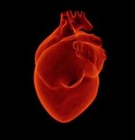 Krankes Herz: KI-Modell berechnet individuelles Sterberisiko.