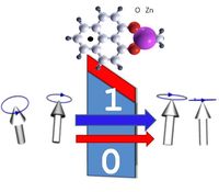 Organisches Molekül mit Spin: Das Molekül wird magnetisch und Informationen "0" und "1" können über den Spinfiltereffekt ausgelesen werden.
Quelle: Foto: Universität Göttingen (idw)