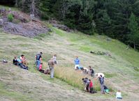 Studierende der Universität Bayreuth nahmen an den Untersuchungen im Pitztal in Tirol teil: ein Beispiel für die enge Verknüpfung von Lehre und Forschung in den Bayreuther Umweltwissenschaften. Quelle: Foto: Anke Jentsch, Universität Bayreuth; zur Veröffentlichung frei. (idw)