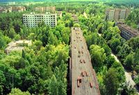 Ein Paradies auf Erden: Dank der nicht Einmischung von Behörden, Ämtern, Konerzen und anderer, blüht die Stadt Tschernobyl wieder auf, zumindest für die Natur.