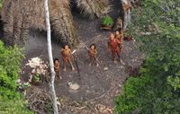 In der Region, in der vor knapp vier Jahren die bekannten Luftaufnahmen eines unkontaktierten Volkes entstanden, haben die Sichtungen unkontaktierter Indianer stetig zugenommen. Bild: © Gleison Miranda/FUNAI/Survival uncontactedtribes/fotosbrasilien