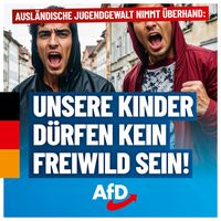 Bild: AfD Deutschland