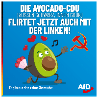 Bild: AfD Deutschland