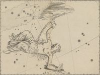 Sternbild Andromeda: Aus der Uranometria von Johann Bayer.