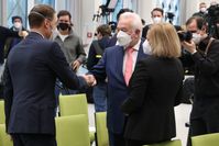 Wolfgang Kubicki (2021), Archivbild