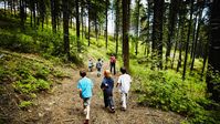 Kinder während der Ferien auf einem Waldweg (Symbolbild) Bild: Thomas Barwick/DigitalVision / Gettyimages.ru