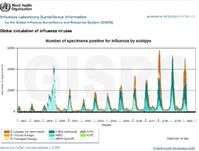 Seit auf COVID19 getestet wird gibtt es weltweit keine Influenza Viren mehr - angeblich!