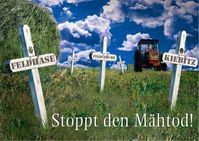 Bild: obs/Deutsche Wildtier Stiftung