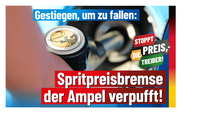 Bild: AfD Deutschland