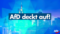 Bild: AfD Deutschland