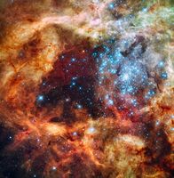 Sternhaufen "R136": Er ist etwa 150.000 Lichtjahre von der Erde entfernt und befindet sich in unserer Nachbargalaxie, der Großen Magellanschen Wolke. Blau ist das Licht von den heißesten und schwersten Sternen, Grün stammt von glühendem Sauerstoff und Rot von fluoreszierendem Wasserstoff. Foto: Hubble Space Telescope/NASA, ESA, and F. Paresce (INAF-IASF, Bologna, Italy), R. O'Connell (University of Virginia, Charlottesville), and the Wide Field Camera 3 Science Oversight Committee
Quelle:  (idw)