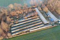 Bild: Deutsches Tierschutzbüro e.V.