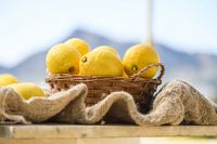 Ein Korb mit Zitronen, Lemon from Spain