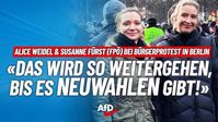 Bild: AfD Deutschland