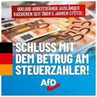 Bild: AfD Deutschland