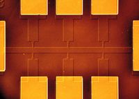 Die Goldkontakte an den Rändern der Probe sind etwa 200 Mikrometer breit. Das Elektronengas befindet sich unter den Stegen. Fotos: Thorsten Naeser