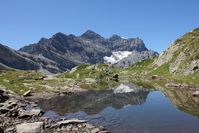 Berglandschaft im Schweizer Wallis: Vielfältige Bodentypen sorgen hier, wie auch in anderen Gebirgen weltweit, für einen vergleichsweise großen Artenreichtum an Wirbeltieren.
Quelle: Copyright: Susanne Fritz (idw)