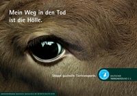 Bild: obs/Deutscher Tierschutzbund e.V.
