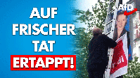 Bild: AfD