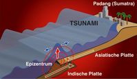 Das internationale Forschungsteam konnte vor der Küste Indonesiens in 6000 m Tiefe die Ursachen des Tsunami vom Dezember 2004 erforschen: Durch das Seebeben hob sich an der Bruchstelle von Asiatischer und Indischer Kontinentalplatte eine über 10 Meter hohe Wand aus dem Meeresgrund und löste mit ihrer enormen Wucht eine gigantische Welle aus. Die erschreckenede Erkenntnis: Es wird wieder passieren! Unter anderem bedroht: Die Millionenstadt Padang auf Sumatra ... 