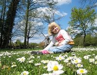 Mädchen auf Blumenwiese: Naturkontakt beruhigt. Bild: pixelio.de/Schröder