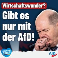 Bild: AfD Deutschland