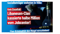 Bild: AfD Deutschland