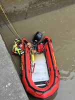 Bild Feuerwehr