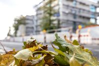 Bild: BG BAU Berufsgenossenschaft der Bauwirtschaft Fotograf: Felix Loechner