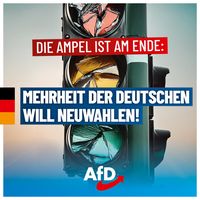Bild: AfD Deutschland