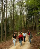 Die Schweizer Bevölkerung hält sich gerne und viel im Wald auf. Ursprüngliche und vielfältige Mischwälder, aber auch Quellen, Bäche und Teiche gefallen den Menschen.
Quelle: Foto: Reinhard Lässig (idw)