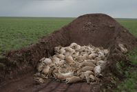 Bild: "obs/Zoologische Gesellschaft Frankfurt/Steffen Zuther"