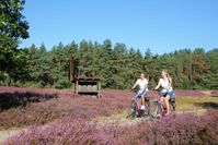 Eine Radtour zur Heideblüte ist ein besonderes Erlebnis.  Bild: "obs/HeideRegion Uelzen e.V./Jürgen Clauß, HeideRegion Uelzen"